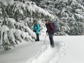 Schneeschuhtour über den Schweizberg